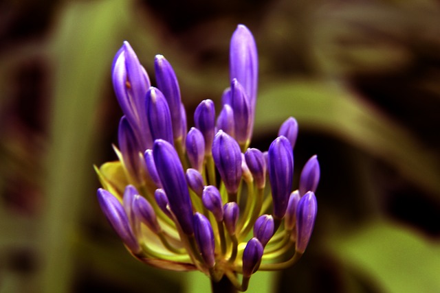 风城科比的 风城科比的