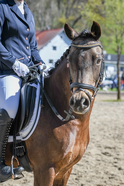 涯目标之一 涯目标之一
