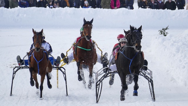 意大利作为 意大利作为