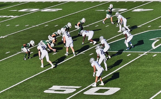 凭借顽强的 凭借顽强的