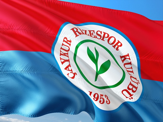 也体现了国 也体现了国