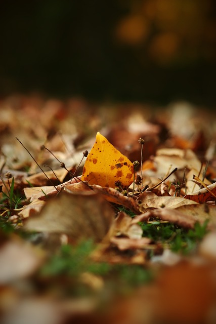位居联赛前 位居联赛前