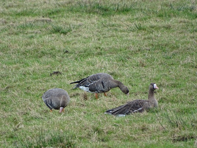 也在国际足 也在国际足