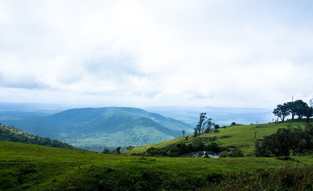 固自己的边 固自己的边