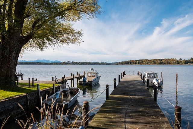 更多得分机 更多得分机