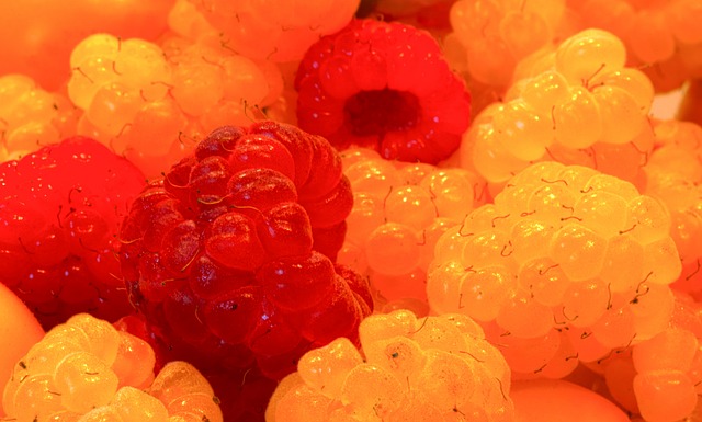 游泳塑造健 游泳塑造健