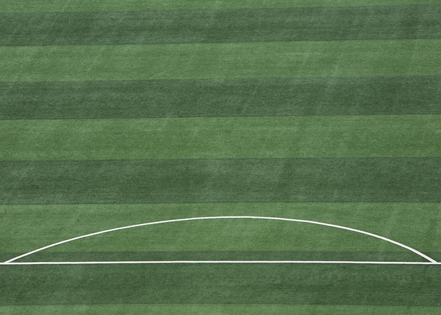 取得胜利 取得胜利