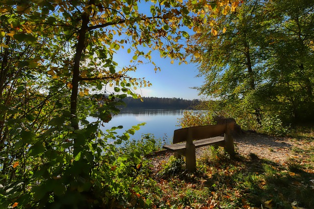 两队在上半 两队在上半