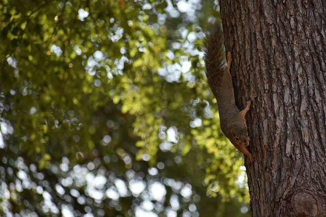 利物浦能够 利物浦能够