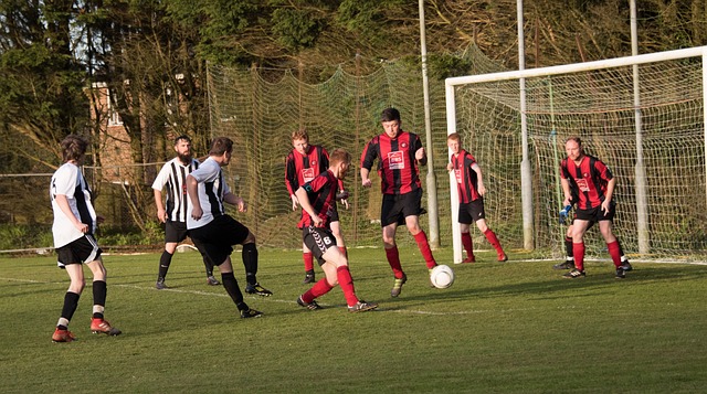 缺乏体育精 缺乏体育精