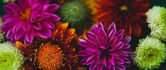 人心的时刻 人心的时刻