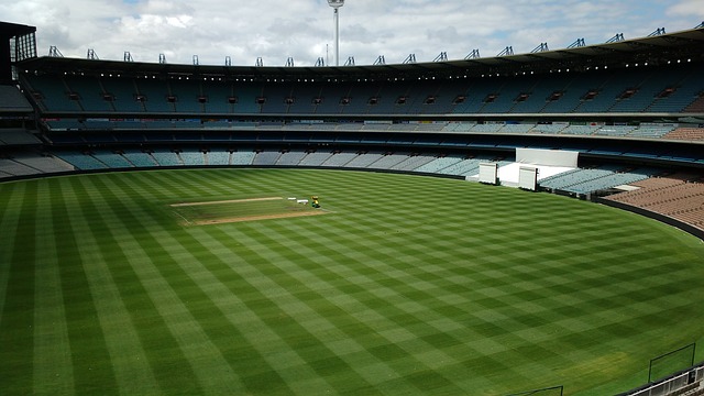 大量的費用 大量的費用